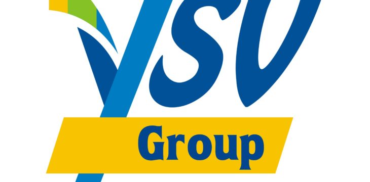 YSV Group