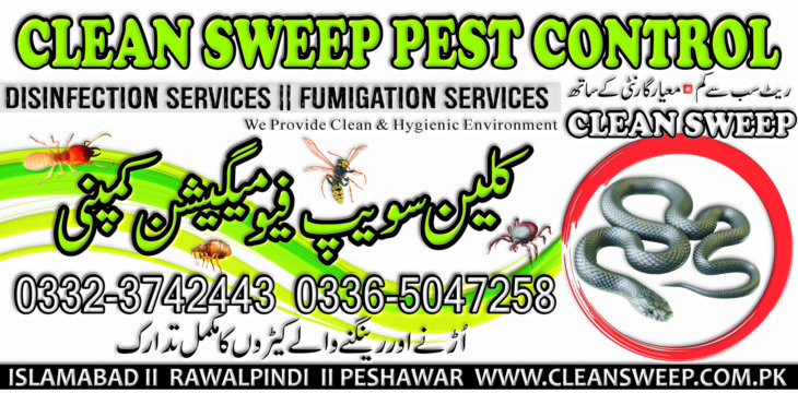 clean sweep pest control rawalpindi