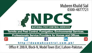 National Pest Control Services